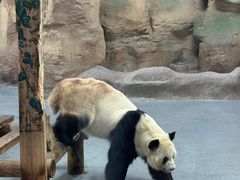 -无锡动物园·太湖欢乐园