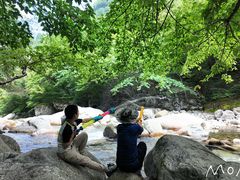 -青峰峡国家森林公园