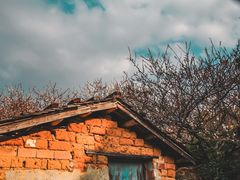 -广州市流溪河国家森林公园