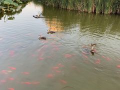 -前关湿地公园
