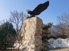 -北京鹫峰国家森林公园