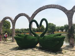 -鹅湖玫瑰文化园