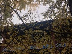 -飞虹鱼馆(春华路店)