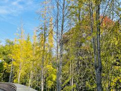 -昆山城市生态森林公园