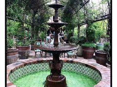 -The Grounds of Alexandria