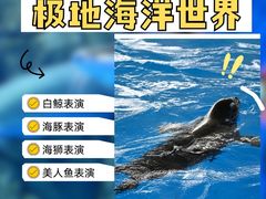 -石家庄极地海洋世界