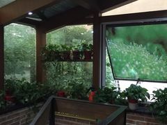 -金豆角砂锅焖面(安贞店)