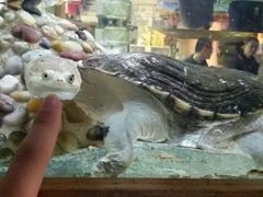 -上海昆虫博物馆