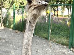 -水上乐园·欢乐世界