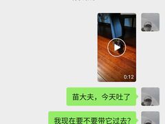 -瑞派天宁宠物医院·猫科·异宠中心