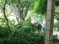 -东风公园