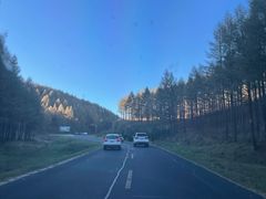 -塞罕坝国家级自然保护区