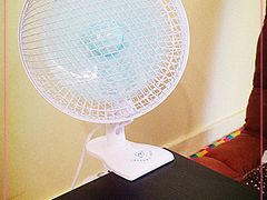 -志龙皇冠吃货椰子铺