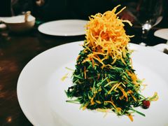 巧拌豆苗-四季民福烤鸭店(西单华威约饭街店)