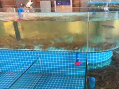 -蓝珊甄选海鲜自助·火锅大排档(近阿那亚店)