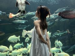 -波塞冬旅游度假区