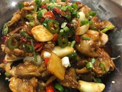 干锅牛蛙-新新湘菜馆(新中街二条店)
