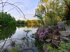 -北京大学-燕南食堂