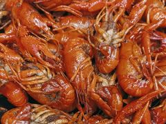 -张记虾尾·火锅·烧烤·大排档(涉外店)