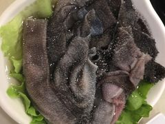 -朱氏胖子烂火锅(洪崖洞店)
