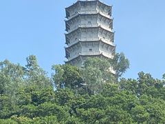 -深圳国际园林花卉博览园