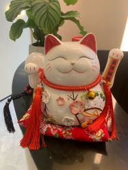 -Fundi张玉珊修身堂·indiba·BTL科技瘦身