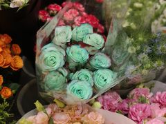 -双季花艺园艺市场(浦东店)