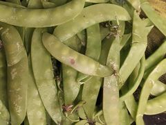 -九爺雞(文德路店)