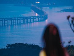 -星海湾跨海大桥