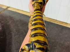 -海盗餐厅