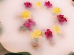 -如禾素食·下午茶·糖水