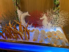 -上海波特曼丽思卡尔顿酒店