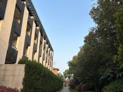 -上海崇明金茂凯悦酒店