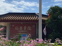 -仙岳公园