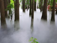-东湖落雁景区