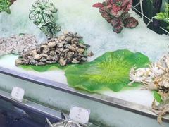 -青岛蓝海大饭店·爱琴海自助餐厅(崂山店)