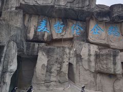 -深圳野生动物园