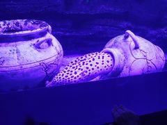 -厦门海底世界