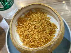 -探窝·竹笙椰子鸡(杨箕店)