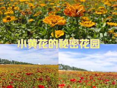 -哈尔滨大剧院