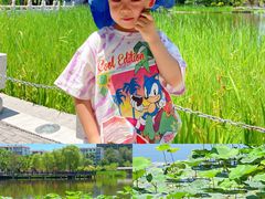 -西海子公园