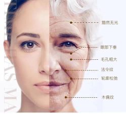 -薇薇安花系SPA