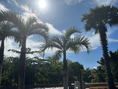 -三亚海棠湾万丽度假酒店