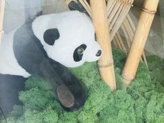 -岷山饭店-岷轩中餐厅