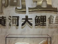 -阿五黄河大鲤鱼(纬三路店)