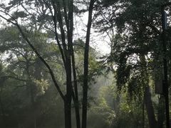 -北陵公园