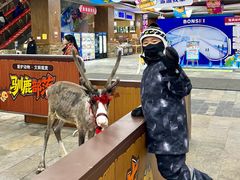 -哈尔滨热雪奇迹