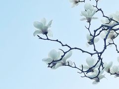 -颐和园