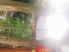 -农厨好味·温泉鹅·农家菜