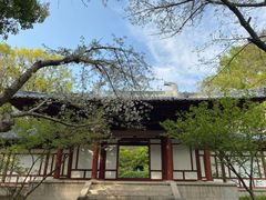 -紫霞湖公园